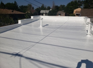 Residential Roof Coating