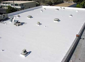 TPO Commercial Roof Replacement