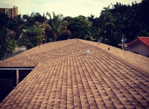 dimensional shingle roof 