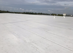 RhinoBond TPO Flat Roof