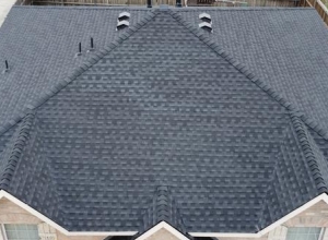 RoofPros