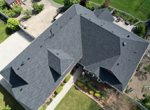 Boise Roofing companies