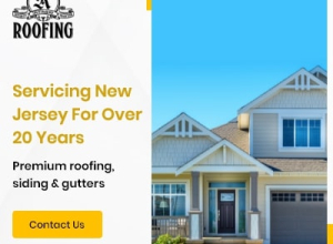 Alte Roofing