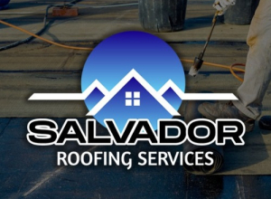 Salvador Roof Repair Expert