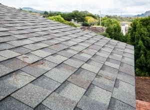 Shingle Roof Replacement